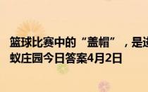 篮球比赛中的“盖帽”，是进攻方还是防守方的技术运动 蚂蚁庄园今日答案4月2日