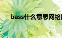 bass什么意思网络用语 bass什么意思