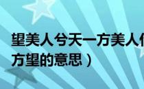 望美人兮天一方美人什么意思（望美人兮天一方望的意思）