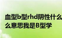 血型b型rhd阴性什么意思 RHD血型阳性是什么意思我是B型学