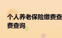 个人养老保险缴费查询入口 个人养老保险缴费查询