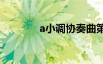 a小调协奏曲第一乐章 a小调