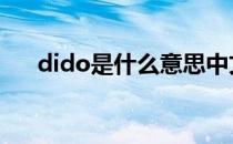 dido是什么意思中文 dido是什么意思