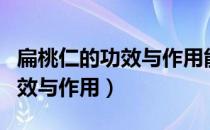 扁桃仁的功效与作用能长期吃吗（扁桃仁的功效与作用）