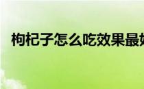 枸杞子怎么吃效果最好（枸杞子最佳吃法）