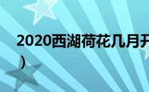 2020西湖荷花几月开（西湖荷花什么时候开）