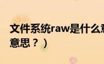 文件系统raw是什么意思（文件系统raw什么意思？）