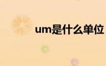 um是什么单位 um是什么单位