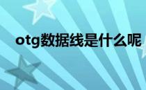 otg数据线是什么呢（otg数据线是什么）