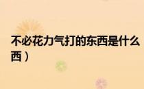 不必花力气打的东西是什么（不必花力气打的东西是什么东西）