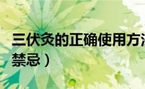 三伏灸的正确使用方法（三伏灸的功效作用与禁忌）