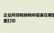 企业所得税纳税申报表在哪里查 企业所得税纳税申报表在哪里打印