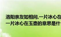 洛阳亲友如相问,一片冰心在玉壶的意思（洛阳亲友如相问,一片冰心在玉壶的意思是什么）