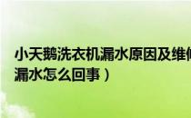 小天鹅洗衣机漏水原因及维修方法（小天鹅洗衣机洗衣服时漏水怎么回事）