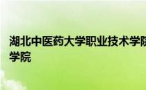 湖北中医药大学职业技术学院专业 湖北中医药大学职业技术学院