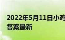 2022年5月11日小鸡庄园答案 小鸡庄园今天答案最新