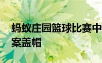 蚂蚁庄园篮球比赛中的盖帽 蚂蚁庄园今日答案盖帽