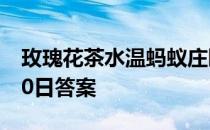 玫瑰花茶水温蚂蚁庄园 80℃还是100℃5月10日答案