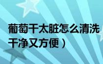 葡萄干太脏怎么清洗（教你正确清洗小技巧又干净又方便）