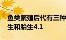 鱼类繁殖后代有三种方式 蚂蚁新村卵生卵胎生和胎生4.1