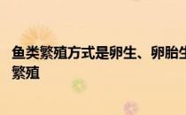 鱼类繁殖方式是卵生、卵胎生和胎生 蚂蚁新村今日答案鱼类繁殖