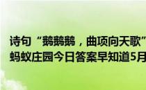 诗句“鹅鹅鹅，曲项向天歌”中，“曲”的正确读音是几声 蚂蚁庄园今日答案早知道5月11日