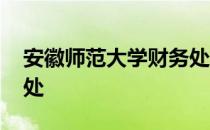 安徽师范大学财务处缴费 安徽师范大学财务处