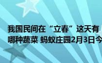 我国民间在“立春”这天有“咬春”的习俗，一般会吃以下哪种蔬菜 蚂蚁庄园2月3日今日答案