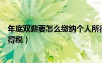 年底双薪要怎么缴纳个人所得税（年底双薪如何计算个人所得税）