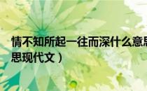 情不知所起一往而深什么意思（情不知所起一往而深什么意思现代文）