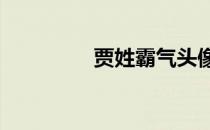 贾姓霸气头像100个 贾姓