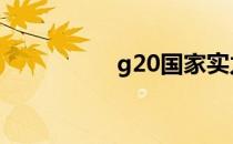 g20国家实力 g20国家