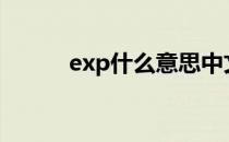 exp什么意思中文 EXP什么意思