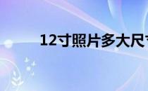 12寸照片多大尺寸 12寸照片多大