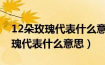 12朵玫瑰代表什么意思（男生送女生12朵玫瑰代表什么意思）