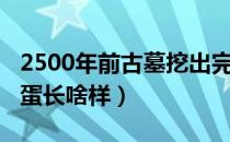 2500年前古墓挖出完整鸡蛋（2500年前的鸡蛋长啥样）