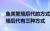 鱼类繁殖后代的方式有哪些 蚂蚁新村鱼类繁殖后代有三种方式