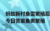 蚂蚁新村鱼雷繁殖后代有三种方式 蚂蚁新村今日答案鱼类繁殖