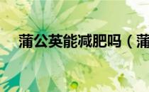 蒲公英能减肥吗（蒲公英减肥效果好吗）