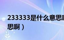 233333是什么意思啊（233333表示什么意思啊）