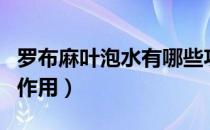 罗布麻叶泡水有哪些功效（罗布麻叶的功效与作用）