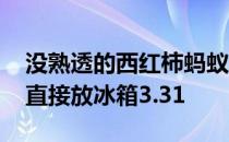 没熟透的西红柿蚂蚁庄园 室内常温存放还是直接放冰箱3.31