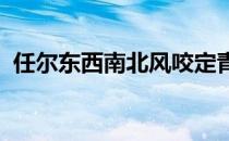 任尔东西南北风咬定青山不放松的政治坚定