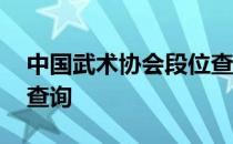 中国武术协会段位查询网 中国武术协会段位查询