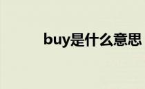 buy是什么意思 bug是什么意思