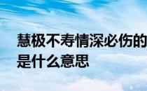 慧极不寿情深必伤的意思 情深不寿慧极必伤是什么意思