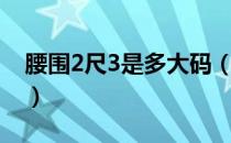 腰围2尺3是多大码（裤子腰围2尺3是多大码）