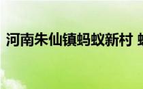 河南朱仙镇蚂蚁新村 蚂蚁新村今日答案3.31