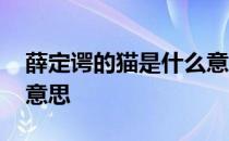 薛定谔的猫是什么意思梗 薛定谔的猫是什么意思