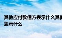 其他应付款借方表示什么其他应收款的贷方 其他应付款借方表示什么